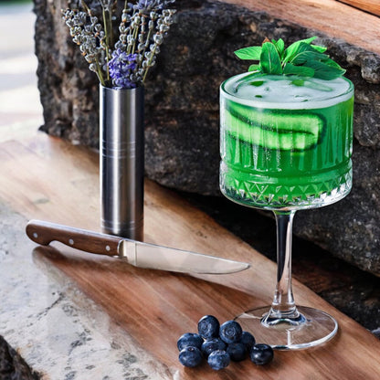 Pasabahce Elysia Cocktailgläser Champagnergläser Dessertglas 4er Set 440437